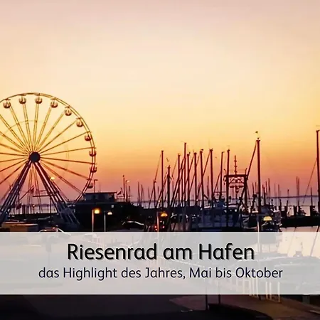 Luette Krabbe * בנסרסיל