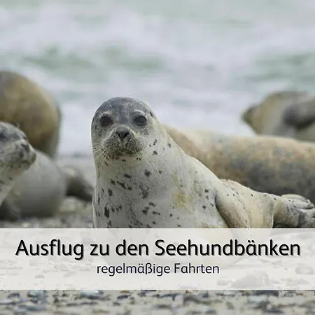 Strandnah & Ruhig Fuer 4 Pers