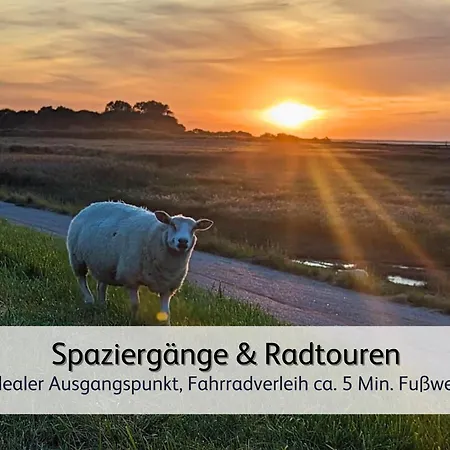 Strandnah & Ruhig Fuer 4 Pers Apartament