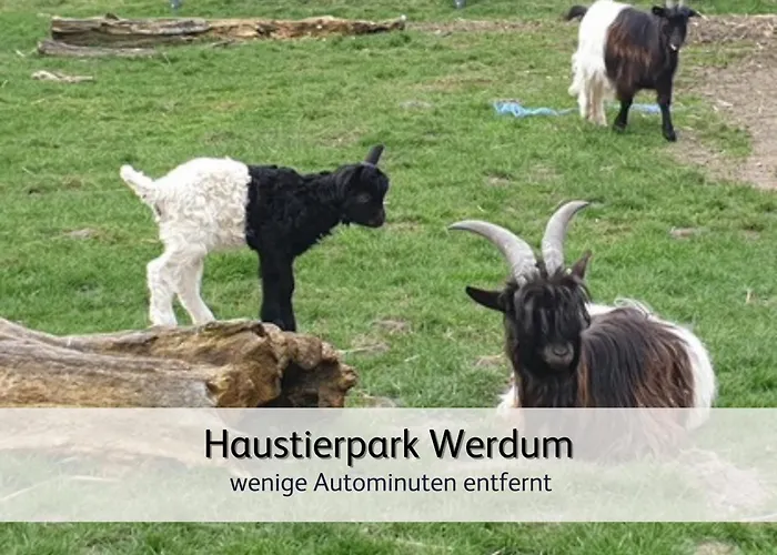 Appartement Strandnah & Ruhig Fuer 4 Pers