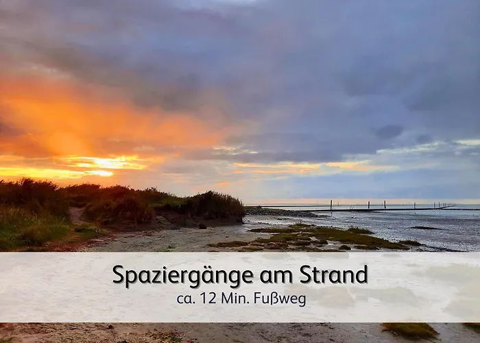 Appartement Strandnah & Ruhig Fuer 4 Pers