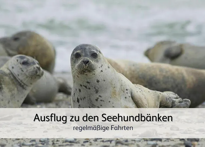 Strandnah & Ruhig Fuer 4 Pers