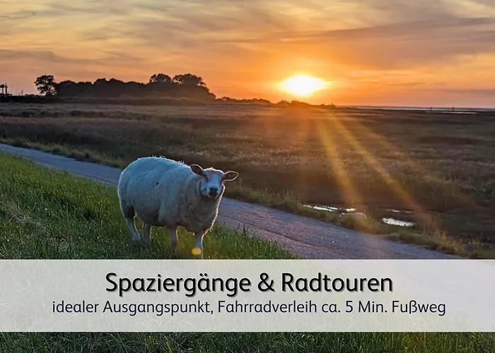 Strandnah & Ruhig Fuer 4 Pers Appartement